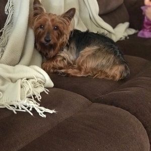 Meet your Posher, Sandra